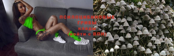 гидропоника Алексин
